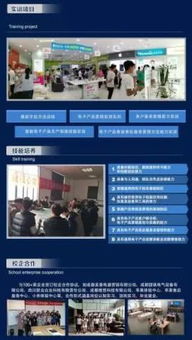 2019年招生專業(yè) 移動通信技術(shù)與信息技術(shù)咨詢服務(wù)